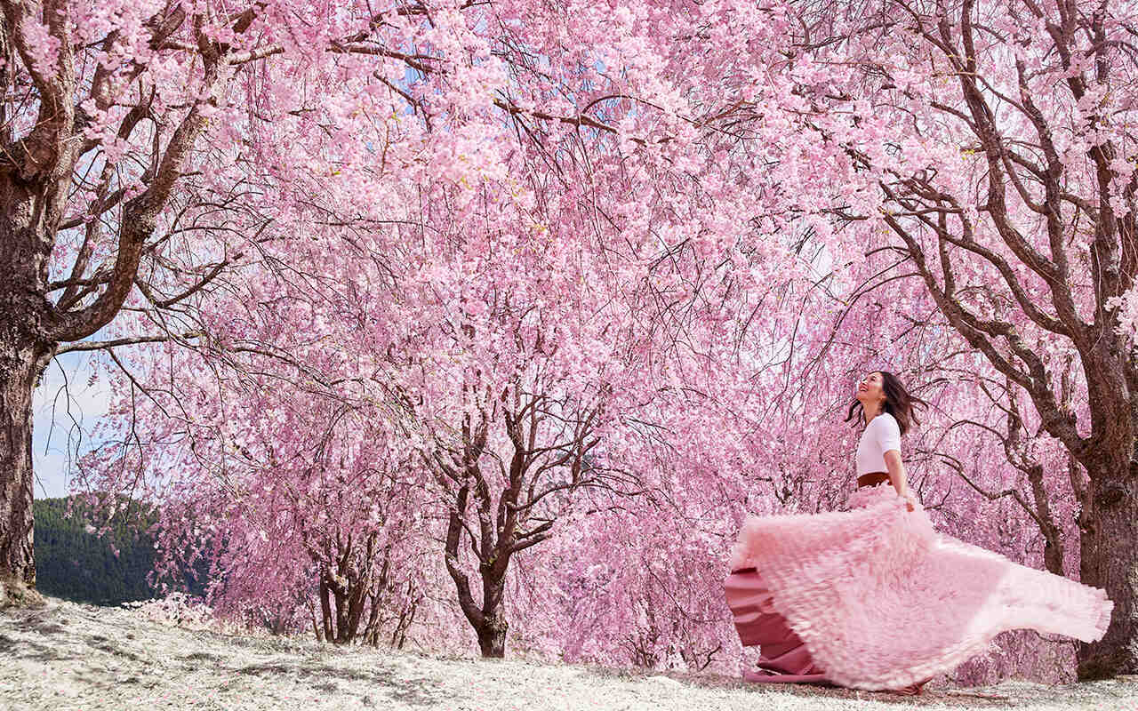04-2024-Rituals-Sakura-Desktop-final-1280x800.jpg